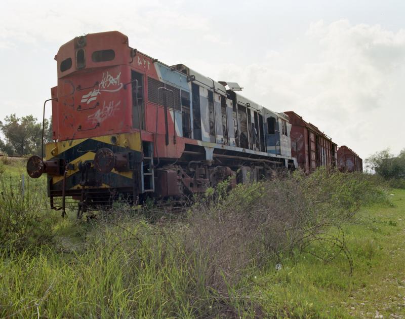 צולמה על סרט אקטר100 בפורמט בינוני