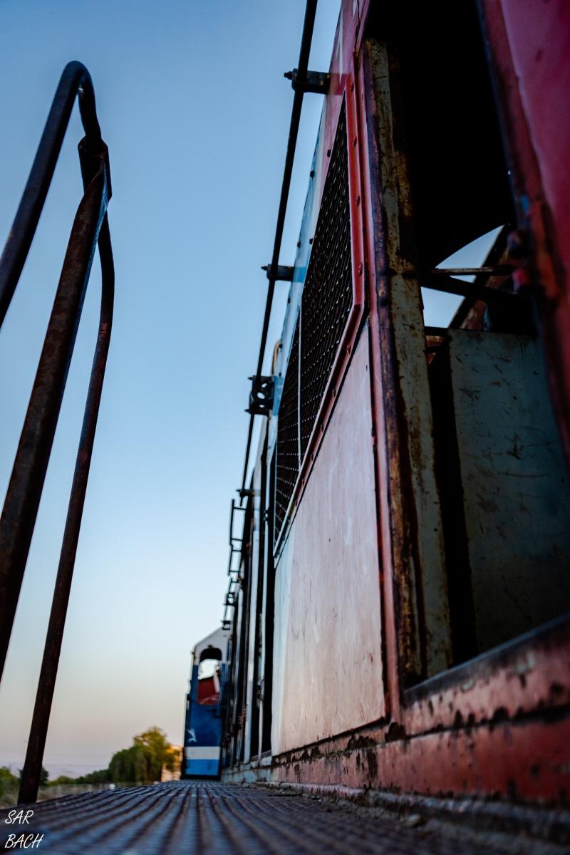 ואדי צראר בשקיעה