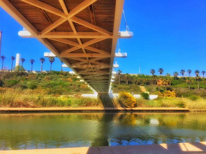 Under the bridge