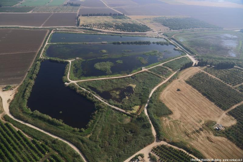 מבט מהאוויר על אגמון הציפורים החדש ב עמק חפר ב בריכות הדגים של עין החורש