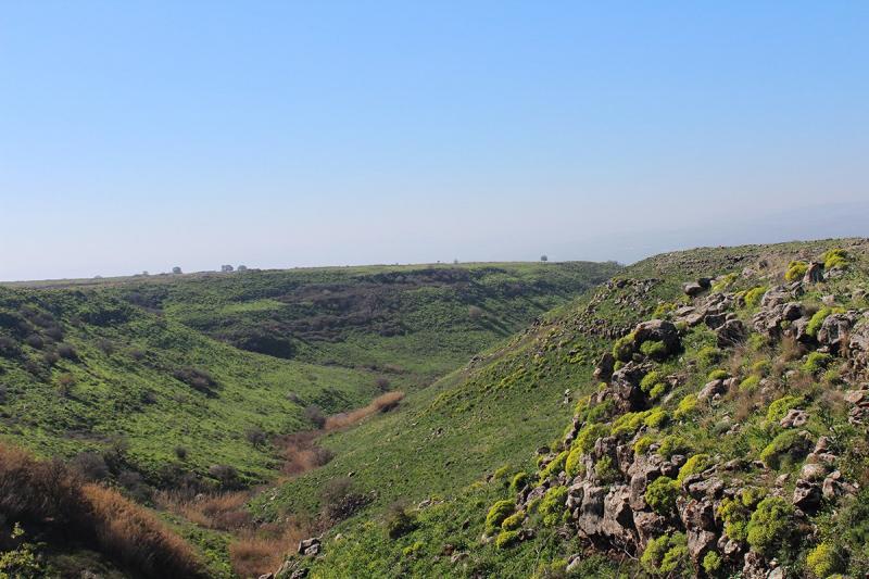 תצפית לנוף הפתוח