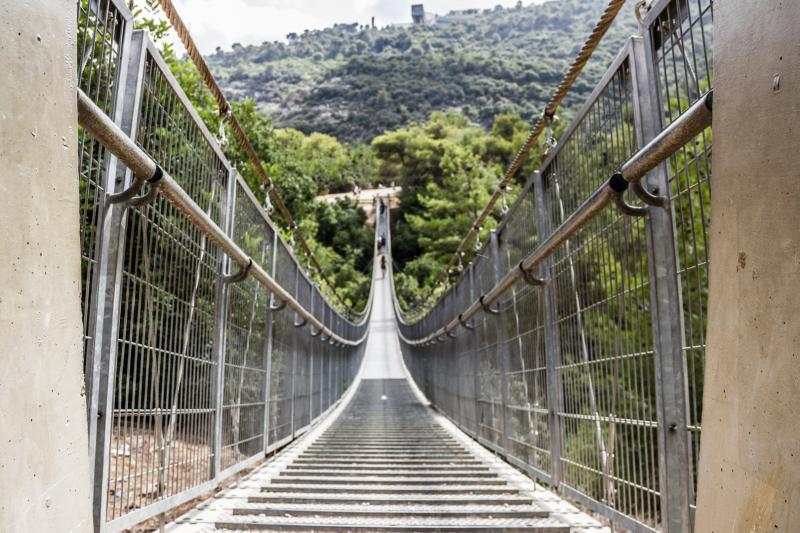 גשרים תלויים בפארק נשר