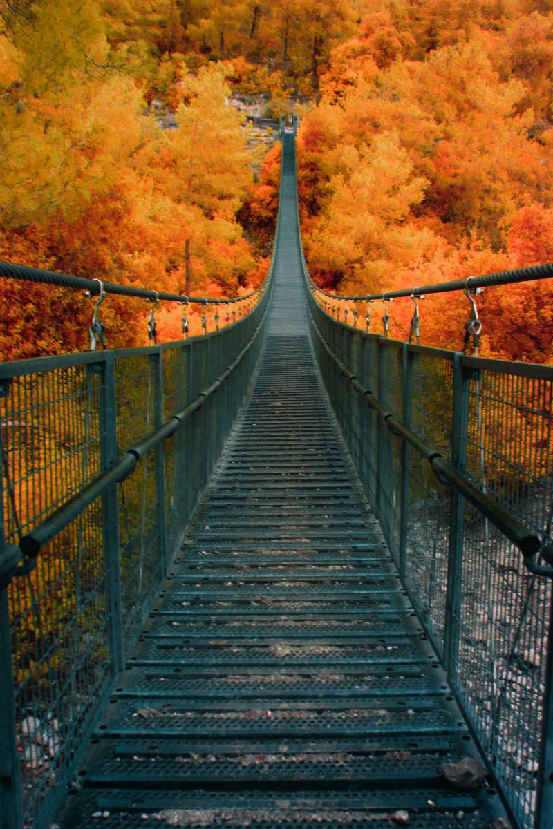 צילום אינפרא אדום של אחד מהגשרים בסתיו