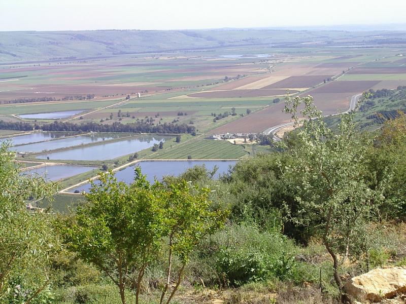 תצפית לעמק החולה