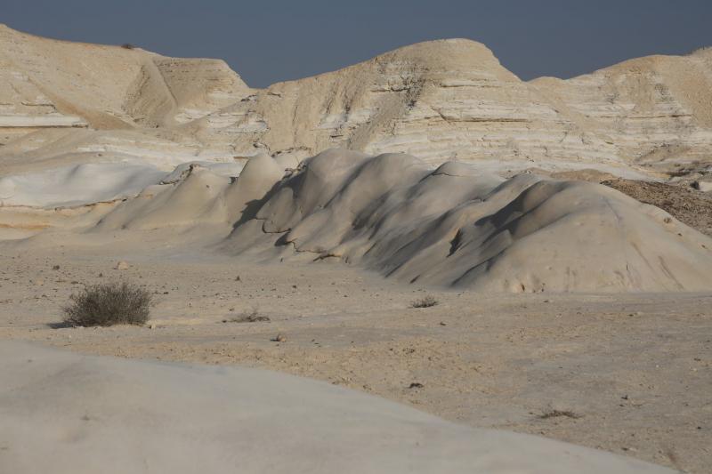 חמוקי ניצנה