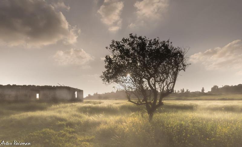 מבנה נטוש בשדות ליד פארק המדע