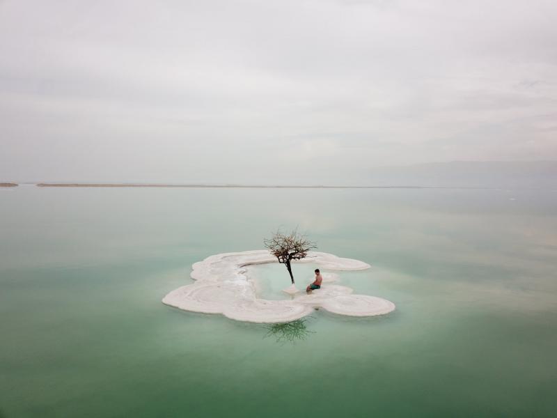 העץ הבודד ים המלח