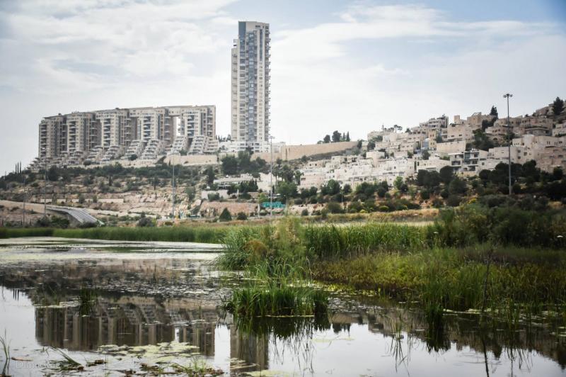 עמק הצבאים