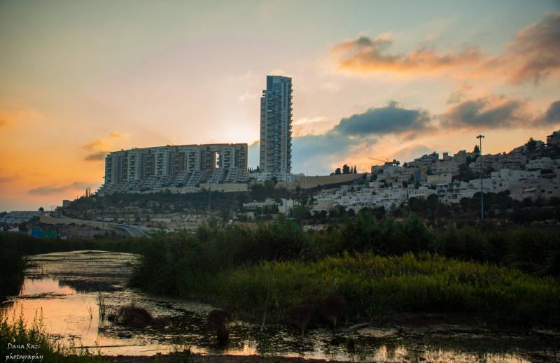 עמק הצבאים בשקיעה