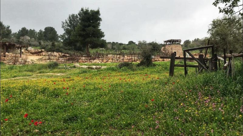 נאות קדומים