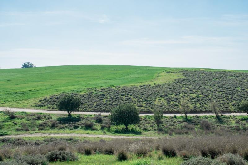 שמורת פורה