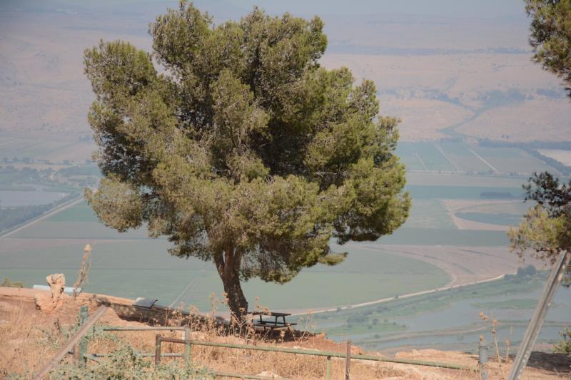 מצפה קרן נפתלי