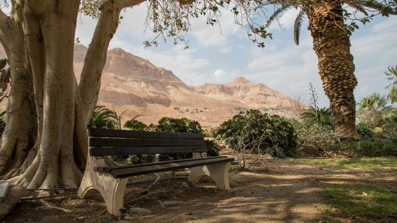 ספסל עם נוף להרים בעין גדי