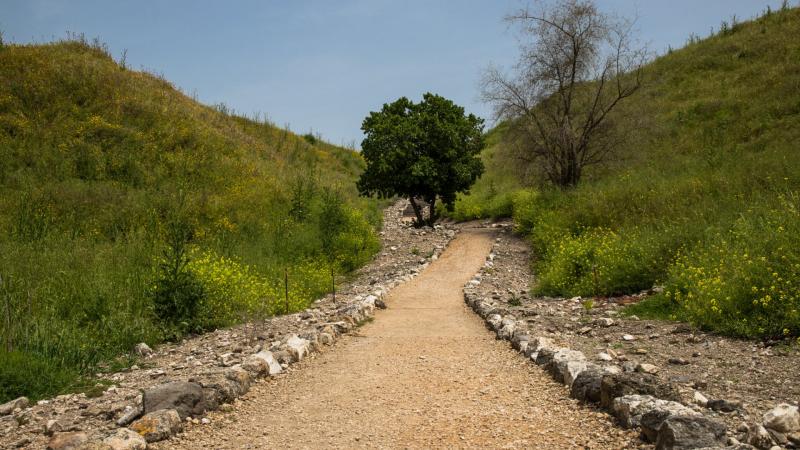 שביל סיום המסלול בתל מגידו