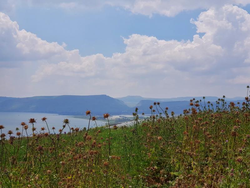 נוף לכנרת