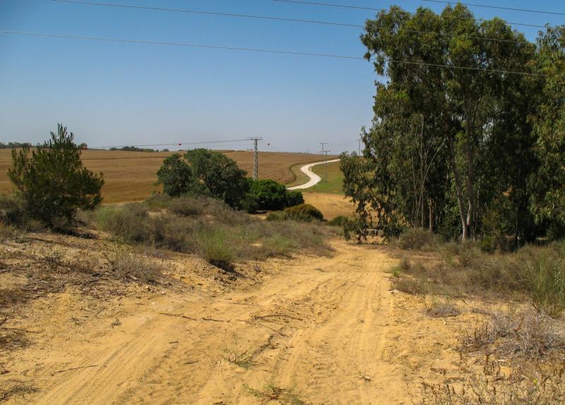 כביש לאמפיתיאטרון גברעם נטוש