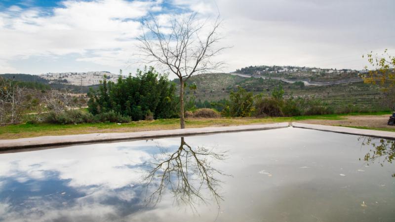 מעיין בעין לבן