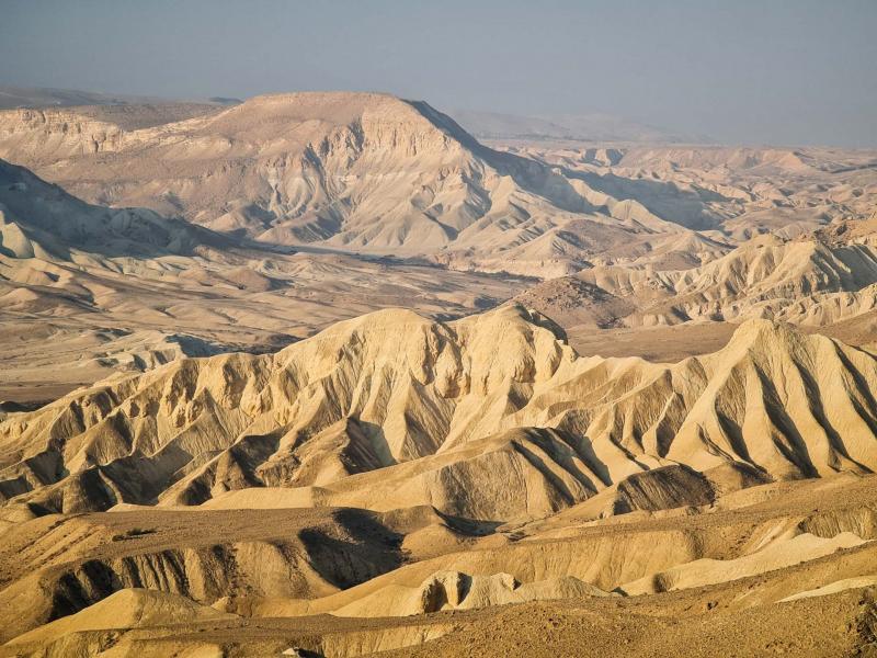 שדה בוקר 