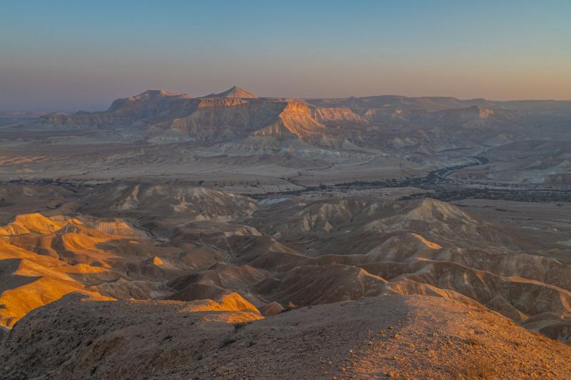 שדה בוקר  