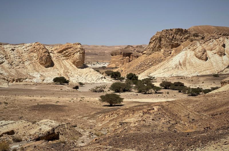 קניון עדה