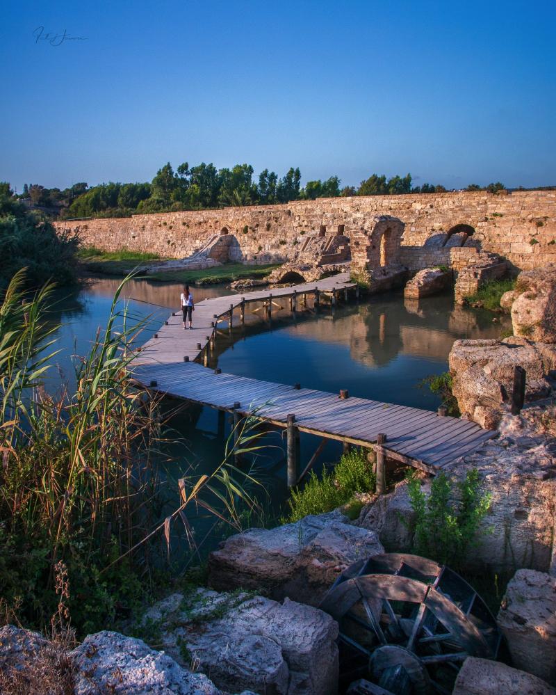 נחל תנינים  שמורת טבע 