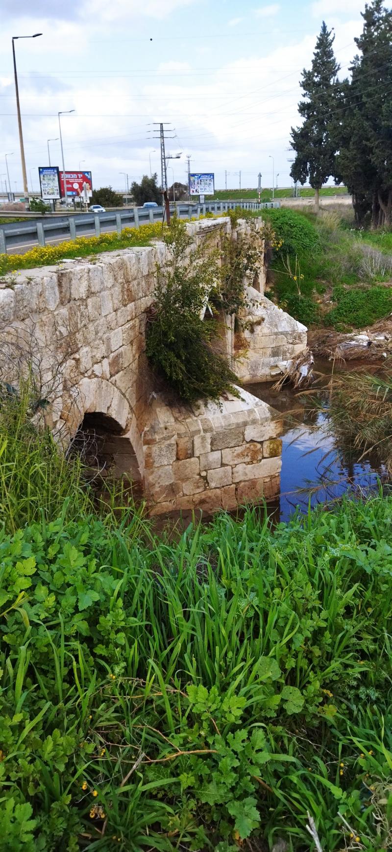 גשר גינדס 