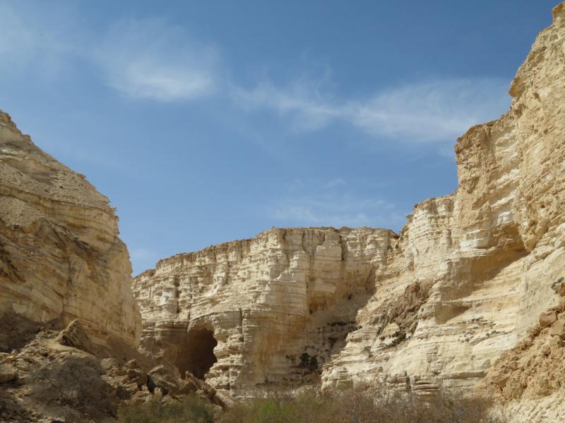 הסנפיר הקטן