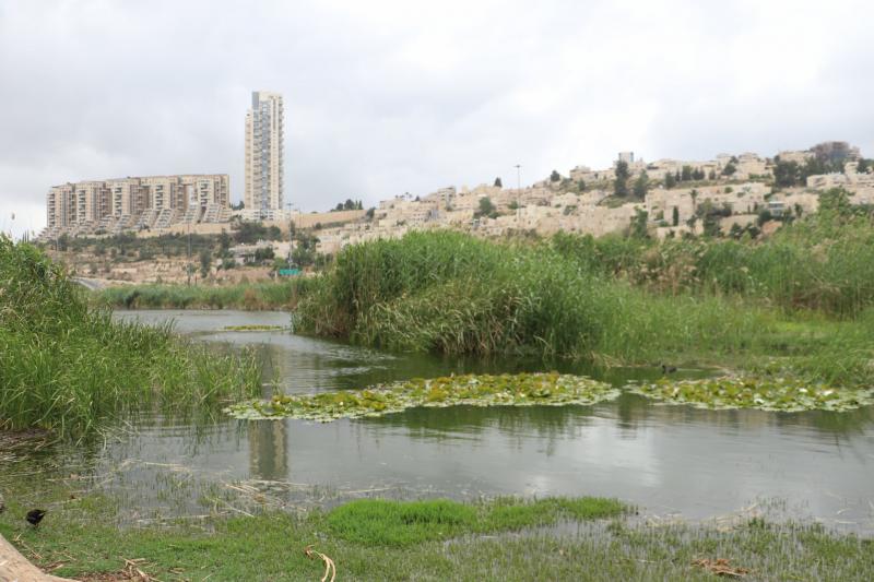 קרוב לאגם